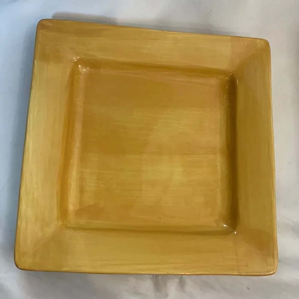 Pier 1 Hand Painted Earthenware Essential Colours 10 1/2 In Square Dinner Plate